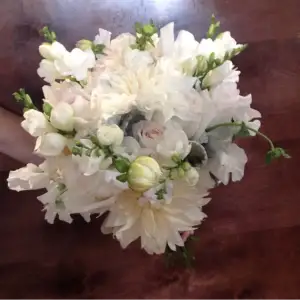 Verdant Elegance Floral Studio