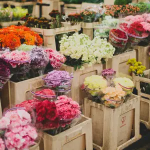 Verdant Vibes Flower Shop