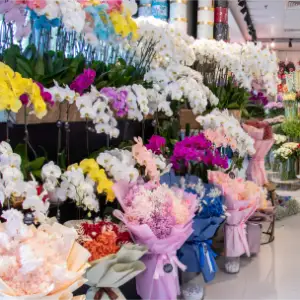 Tropical Blooms Sharjah