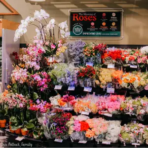 Flower World Sharjah