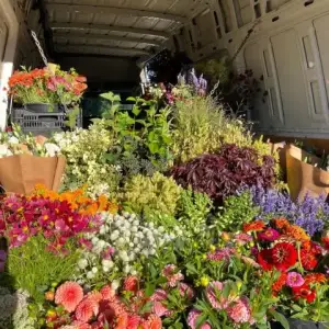 The Walkways and Jogging Tracks