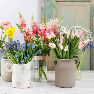 Floralis Eco Creations