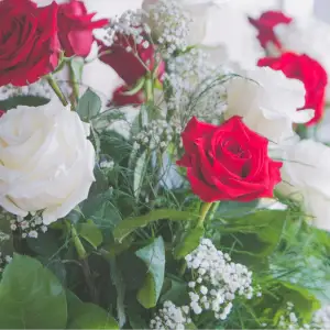 Rose & Vine Floral Boutique