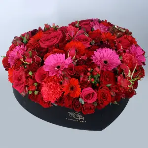 Glamour Rose Flowers