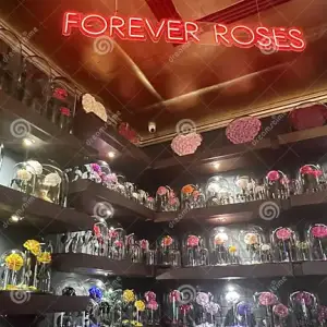 Forever Rose