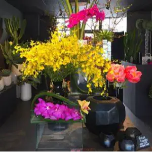 Seef Floral Boutique