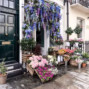 Al Khaleej Flower Shop