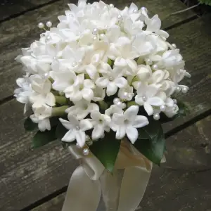 Jasmine & Co. Florals