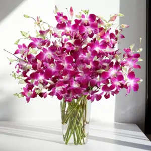Orchid Dreams Floral Design