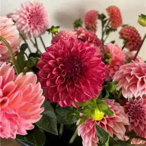 Qima Floral Boutique