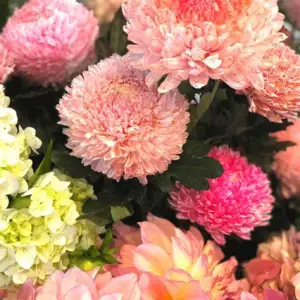 Bespoke Blossom Studio