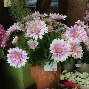 Arte Fiore Flowers Trading