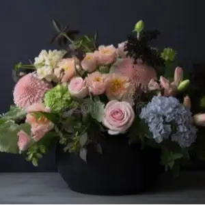 Delightful Blooms