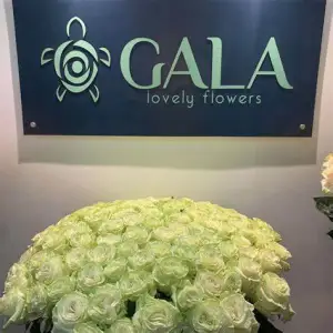 Gala Flowers
