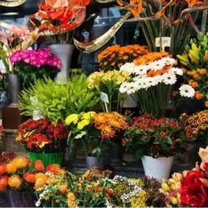 The Flower Sculptors