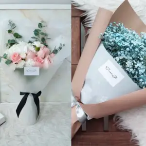 Floristique Al Nabba'a