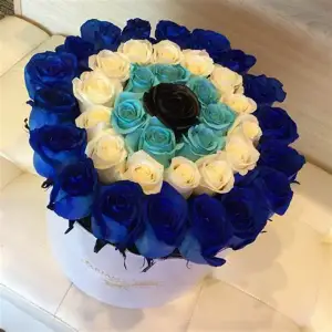 The Velvet Rose Studio