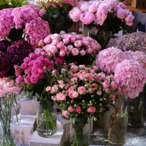 The Petal Pioneers