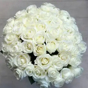 Amaryllis Luxe Florals – Timeless Beauty with a Modern Twist