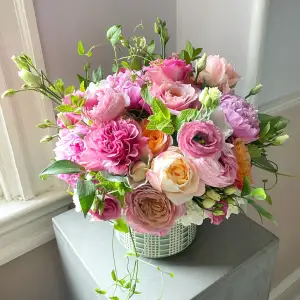 Petal Perfection – Timeless Elegance in Every Bloom