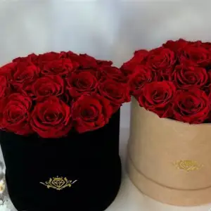 Bloom & Beyond – Artistic Floral Installations that Inspire