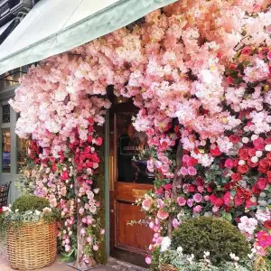 Le Jardin de Rêve – Where Dreams Bloom into Reality