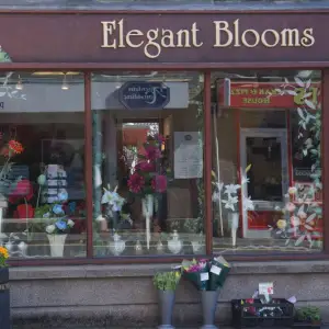 Elegant Blooms Florist