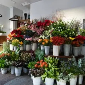 Ahmar Flower Shop