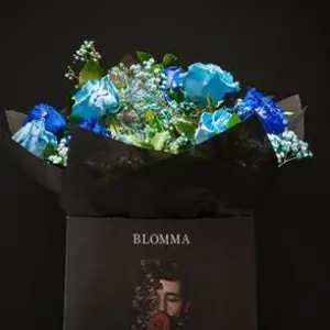 Blomma Concept