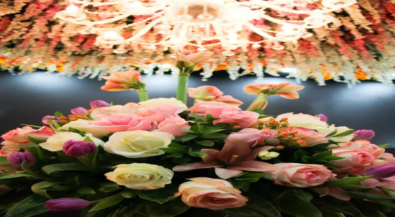 Top 10 Luxury Florists in Jumeirah Village Circle (JVC) You’ll Adore